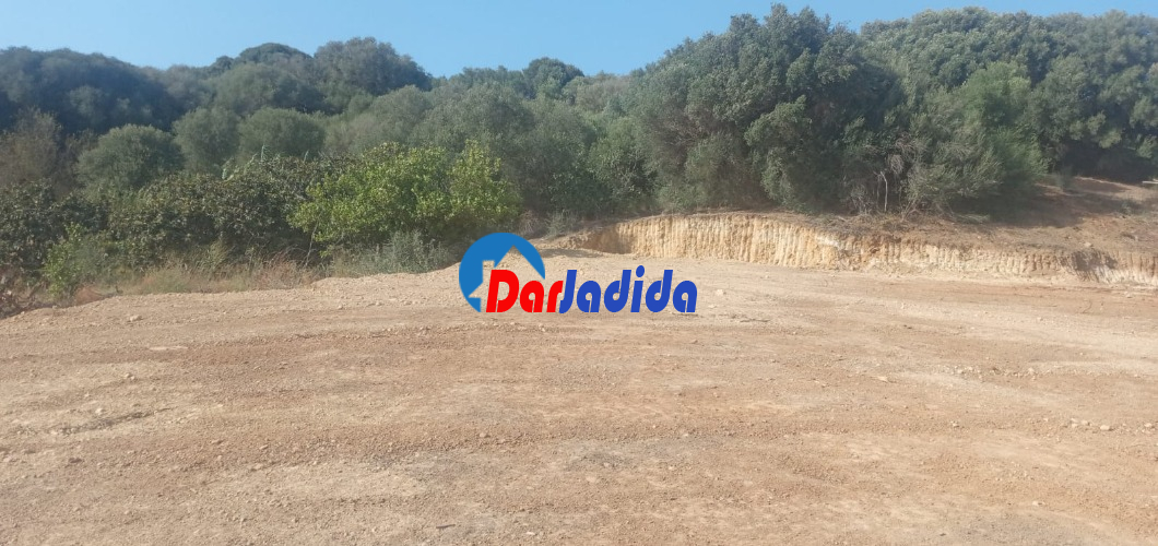 Vente Terrain  Tipaza