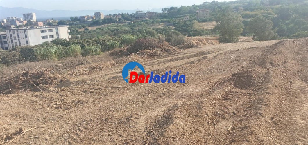 Vente Terrain  Tipaza