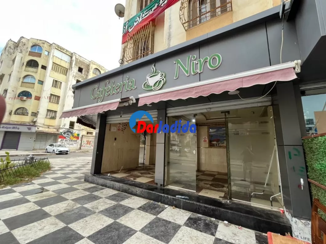 Location Local  Alger