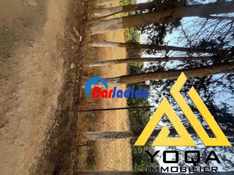 Vente Terrain  Tipaza