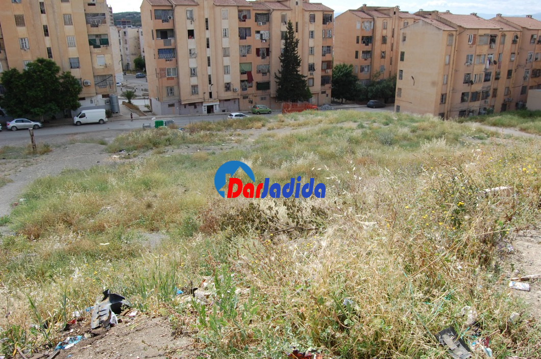 Vente Terrain  Borj-bou-arreridj