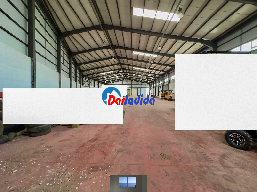 Location Hangar  Blida