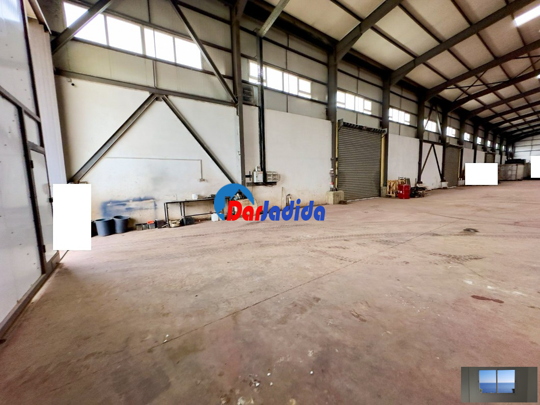 Location Hangar  Blida