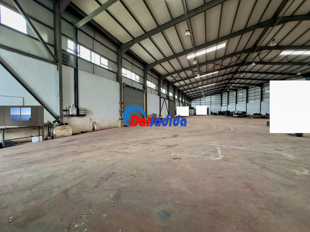 Location Hangar  Blida