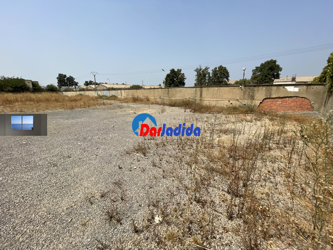 Location Terrain  Blida