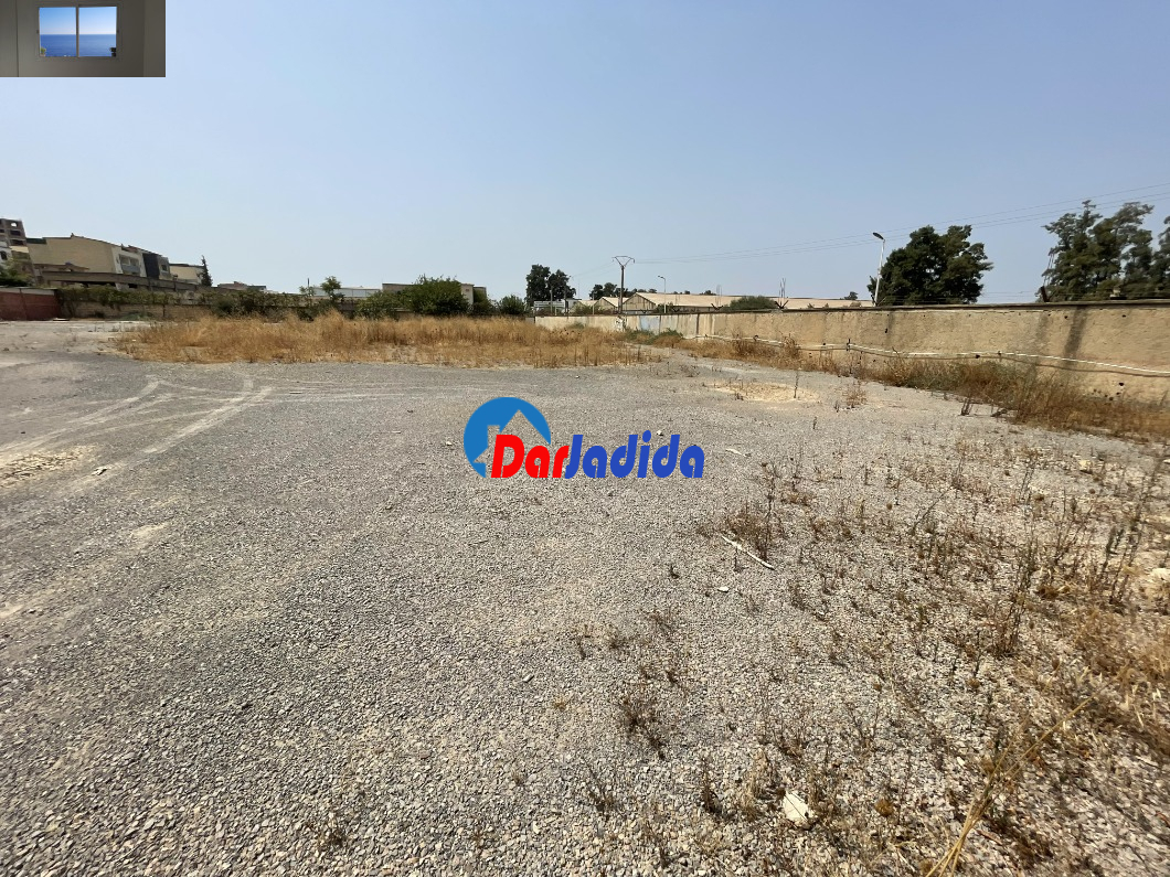 Location Terrain  Blida