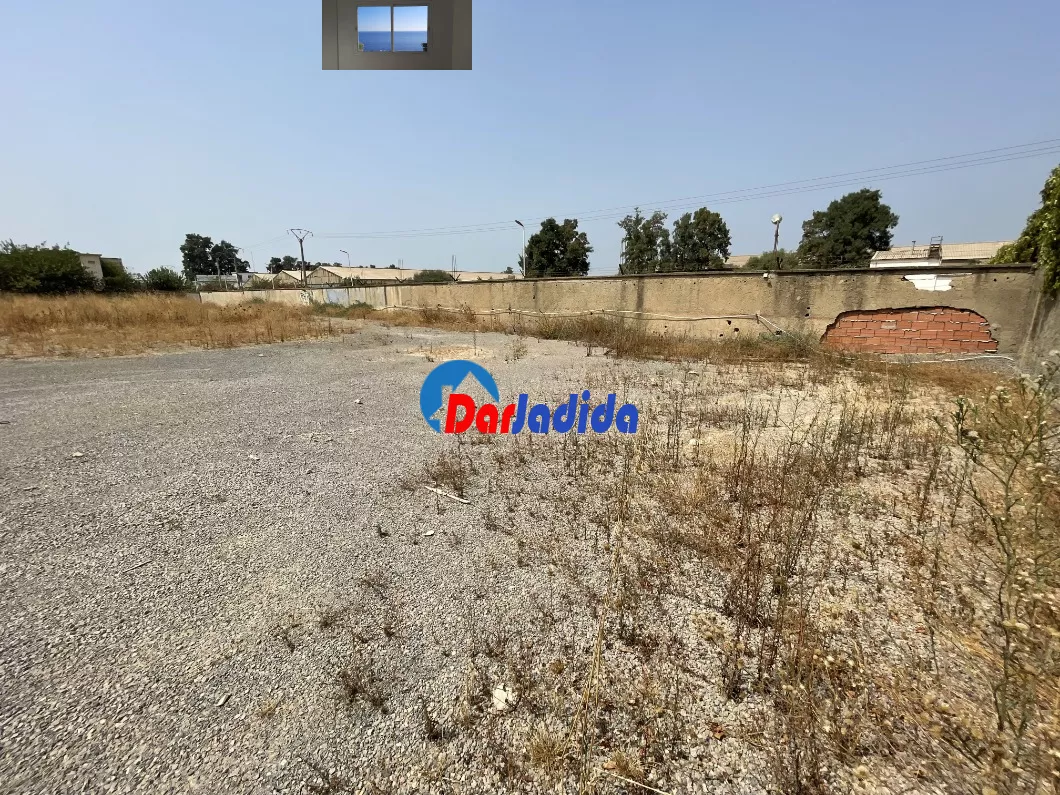 Location Terrain  Blida