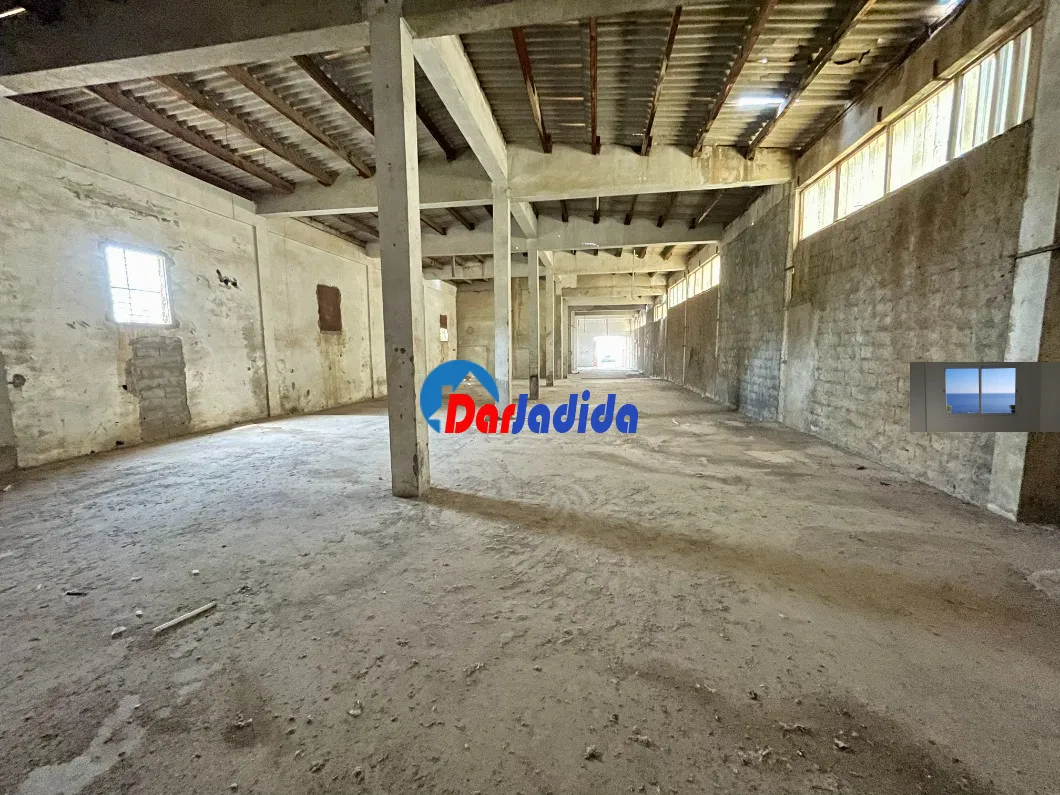 Location Local  Blida