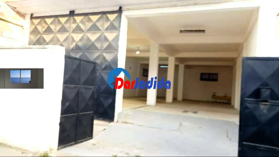Location Local  Blida