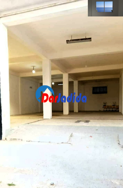 Location Local  Blida