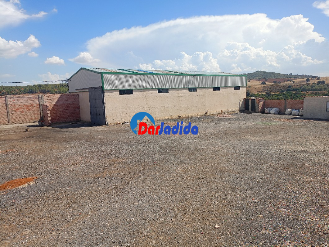 Location Hangar  Bouira
