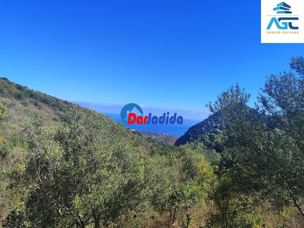 Vente Terrain  Bejaia