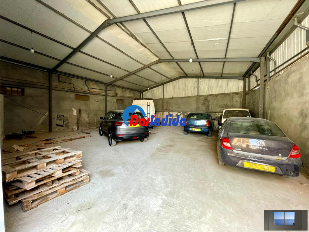 Location Hangar  Alger