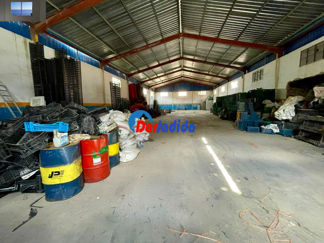 Location Hangar  Blida