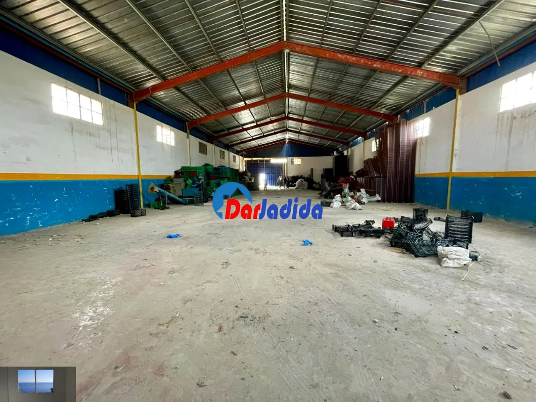 Location Hangar Blida