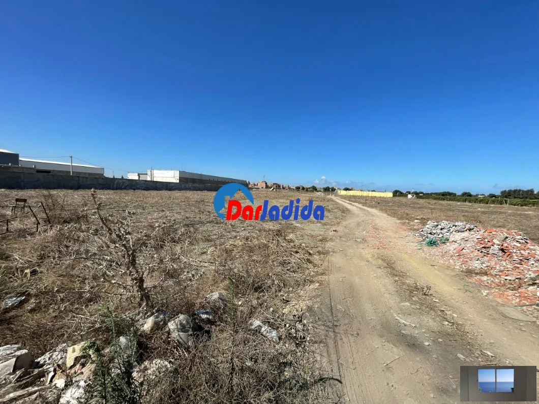 Location Terrain Alger