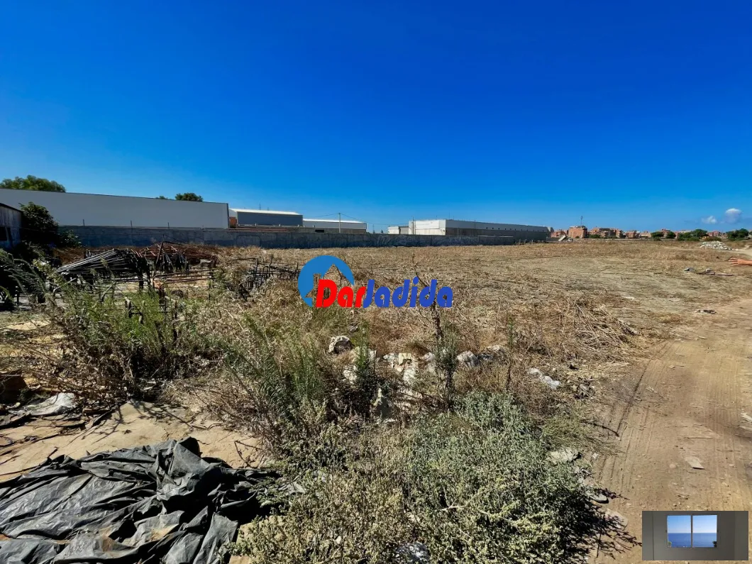 Location Terrain Alger