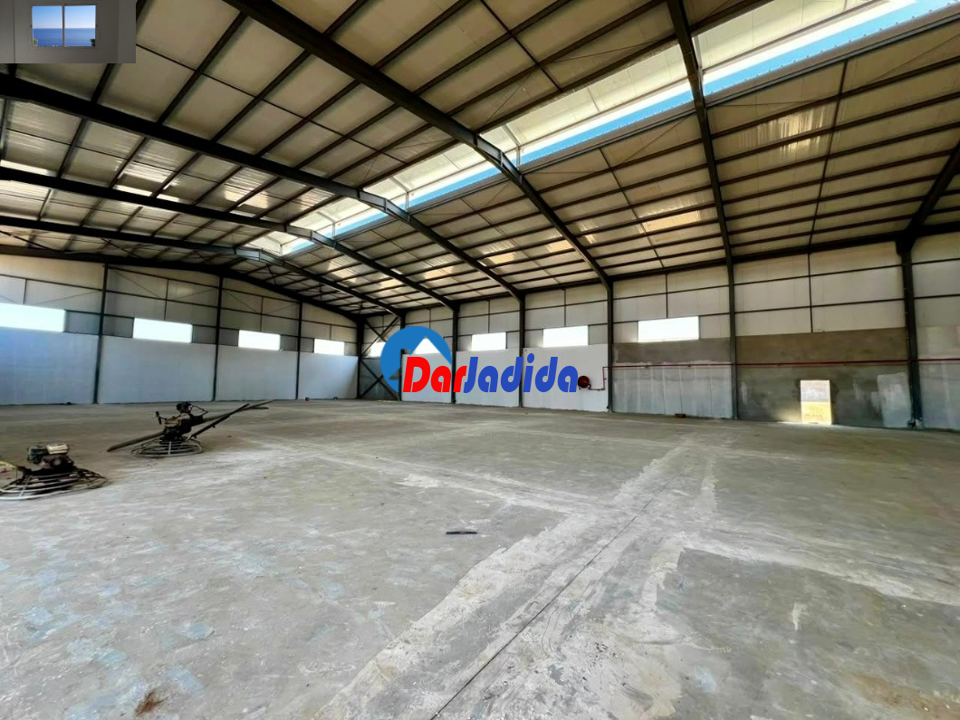Location Hangar  Blida