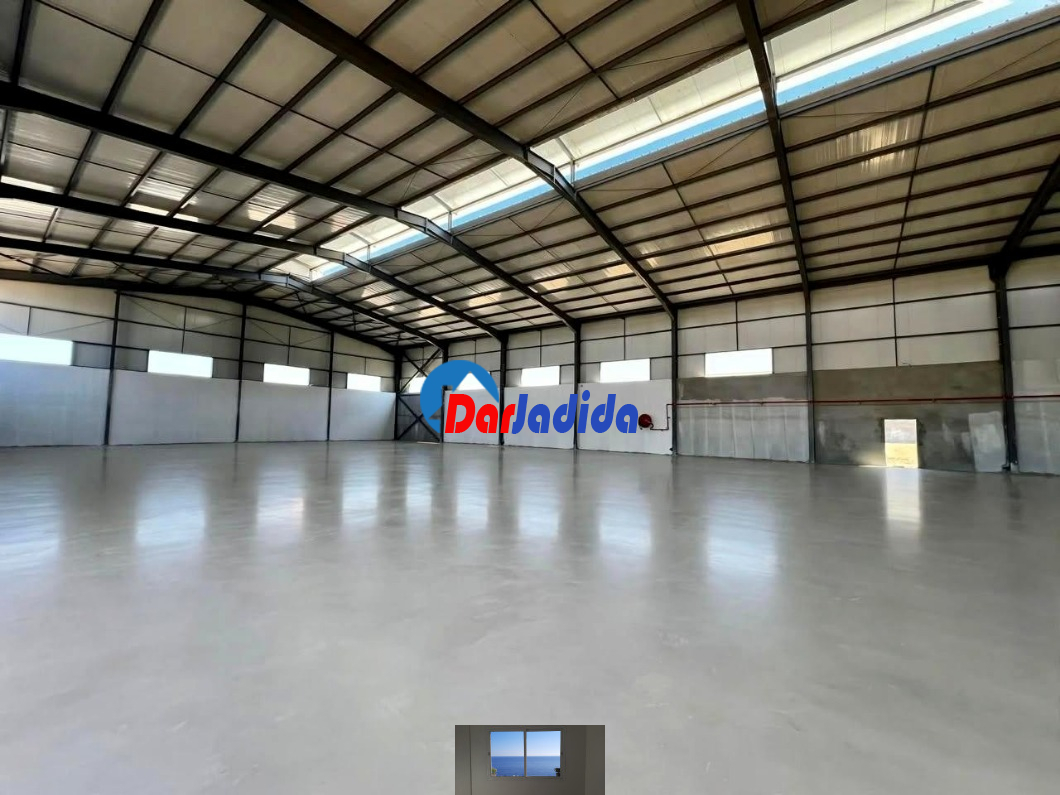 Location Hangar  Blida