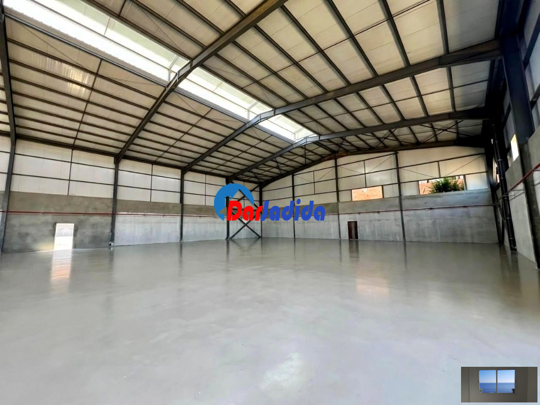 Location Hangar  Blida