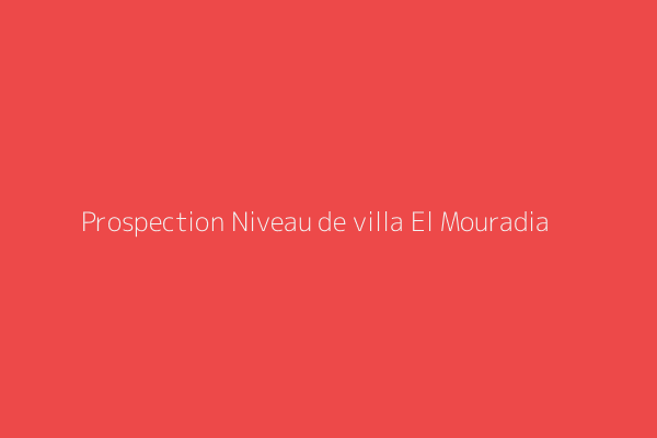 Prospection Niveau de villa F3 Alger