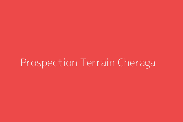 Prospection Terrain  Alger Cheraga Alger