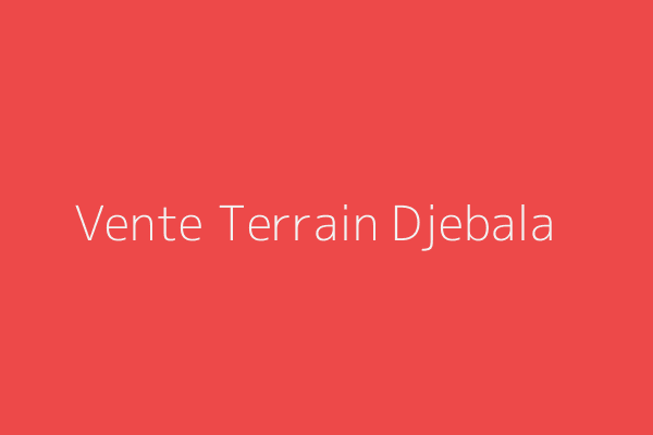 Vente Terrain  Tlemcen